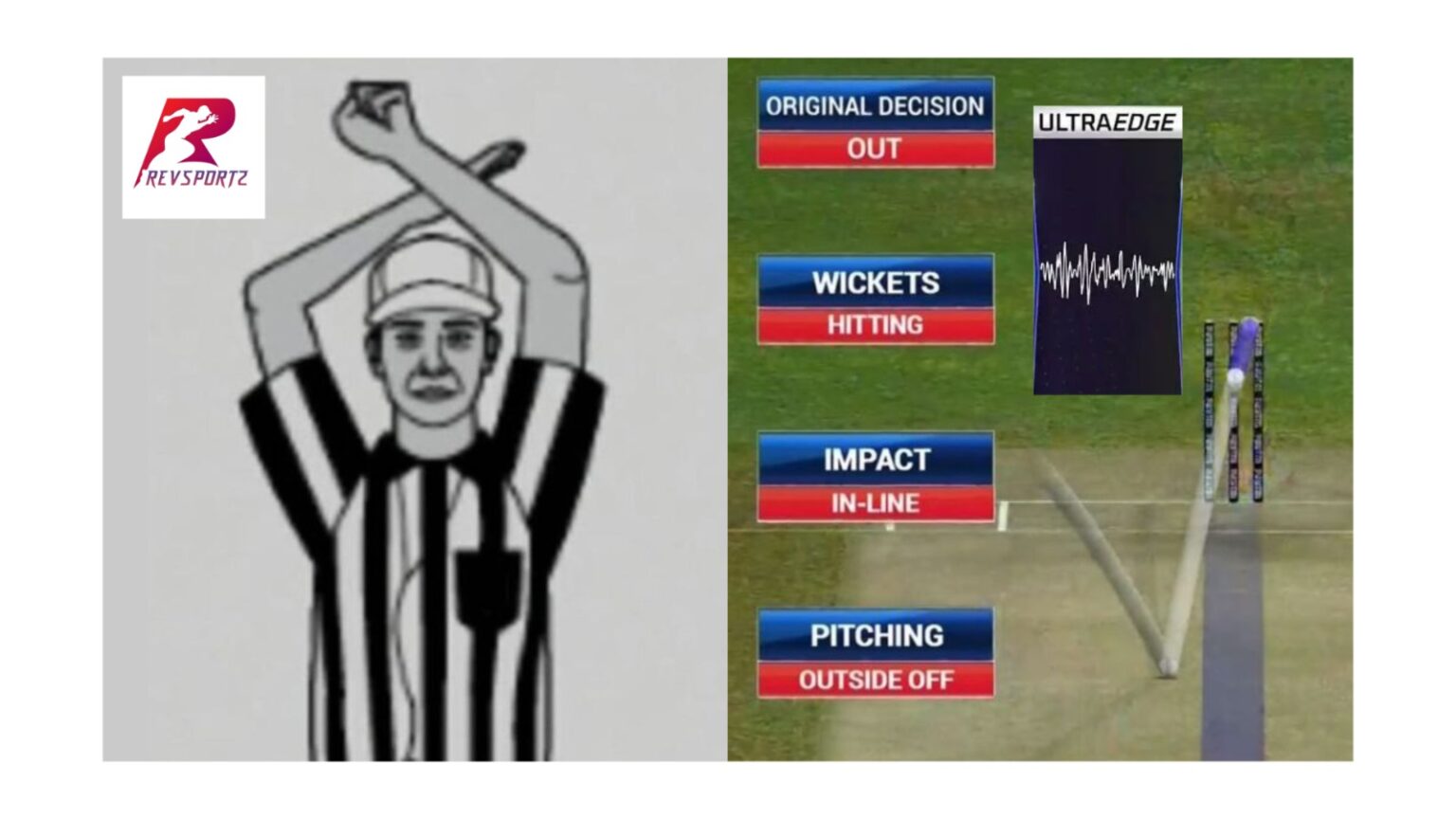 TNPL 2023: From DRS to Impact Player – All new rules explained