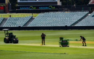 Adelaide Pitch preparation