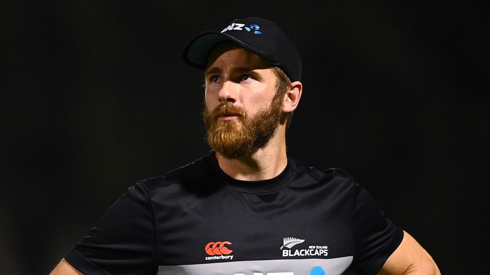 New Zealand international cricketer Kane Williamson picks his "Fab Four"