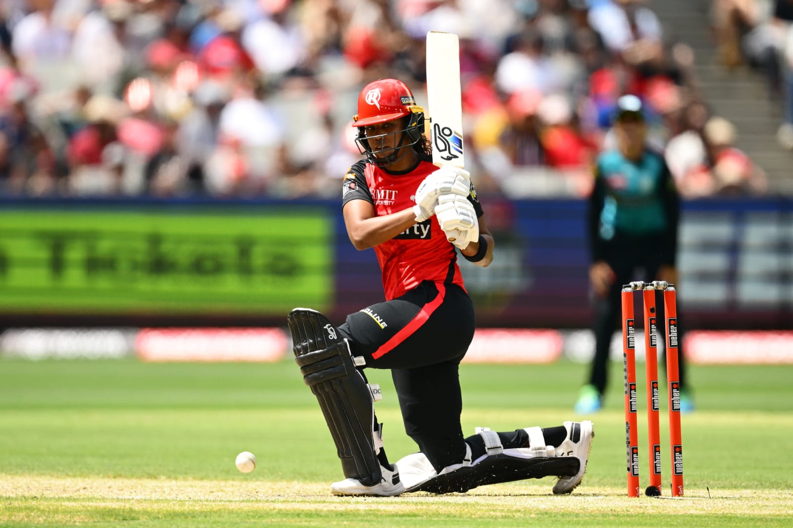 Hayley Matthews for Melbourne Renegades in WBBL (PC: 7Cricket)